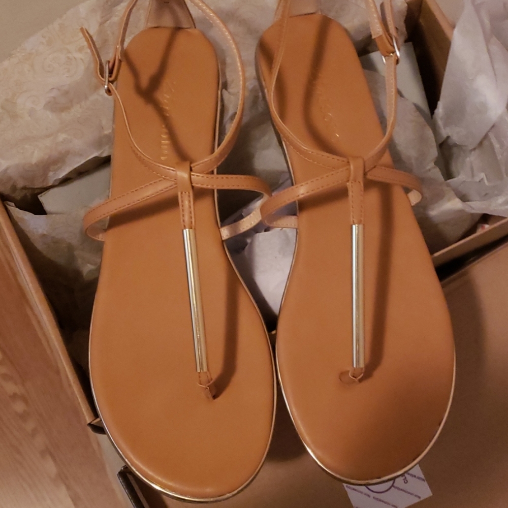 🆕️ Ziginy Tan flat Sandal